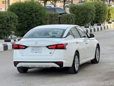 التيماء استاندر 2020 4