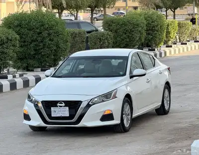 التيماء استاندر 2020 0