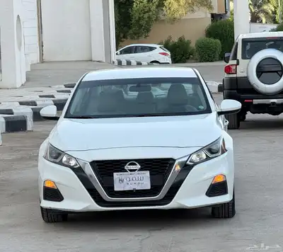 التيماء استاندر 2020 2