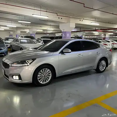 كادينزا 2018 2