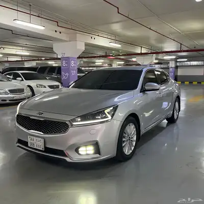 كادينزا 2018 9