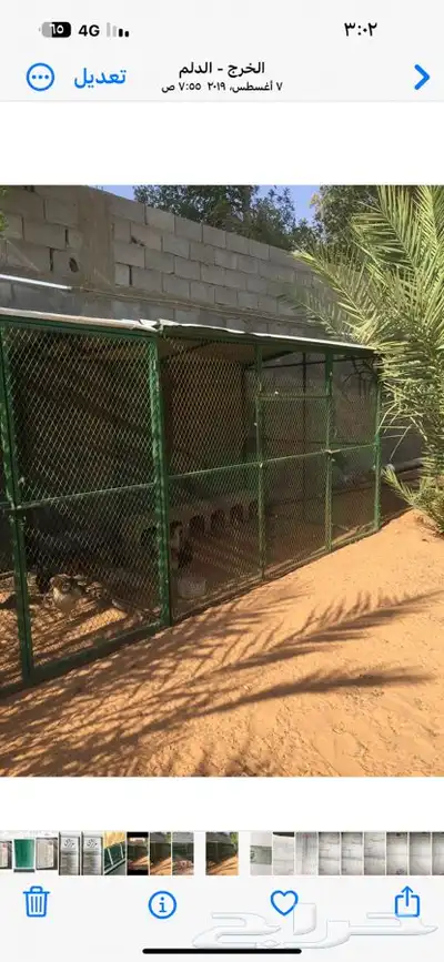 الخرج الهياثم الرحمانيه الرفايع الدلم 3