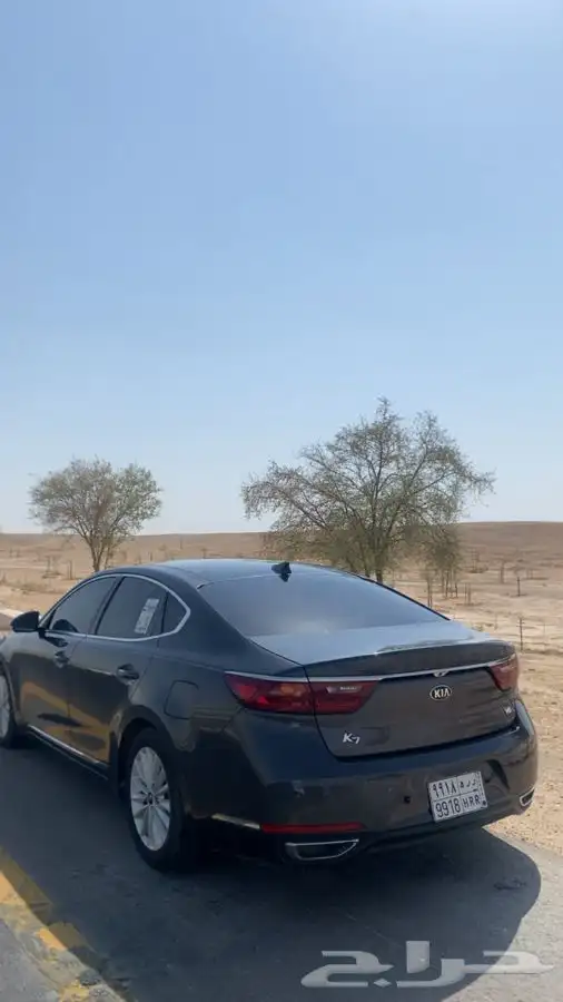 جنوط كادينزا 1