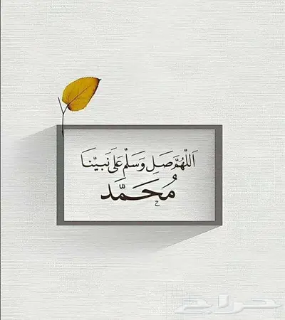 اثاث شقه كامل 0