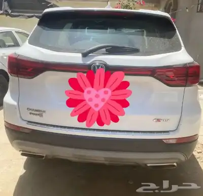 شانجان 3