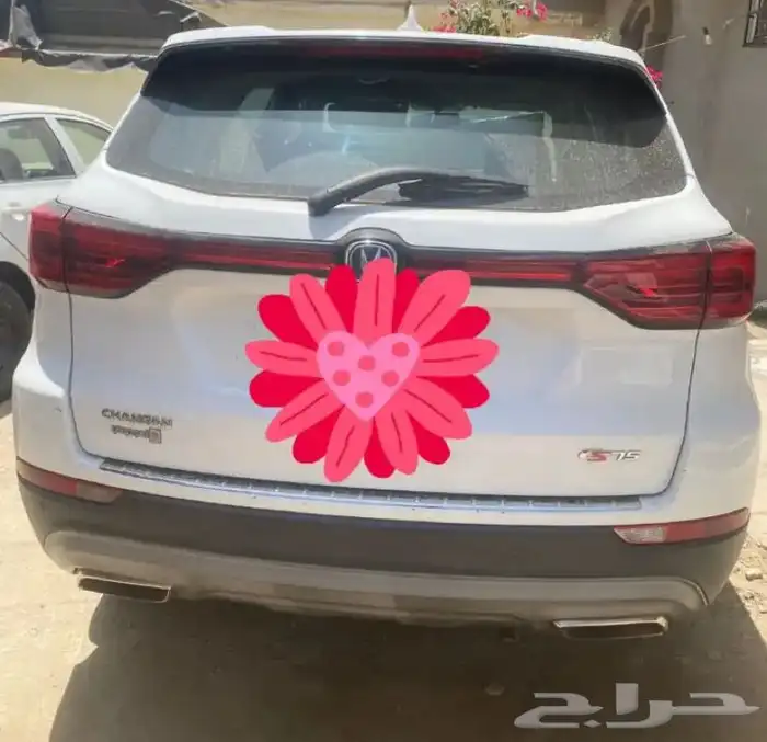 شانجان 3