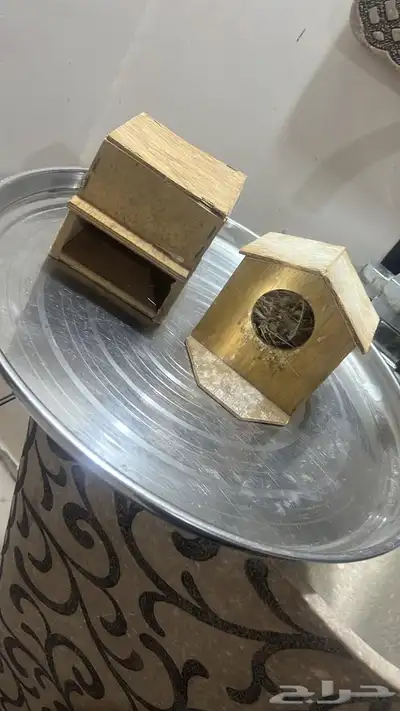 للبيع محاكر طيور زينة 0