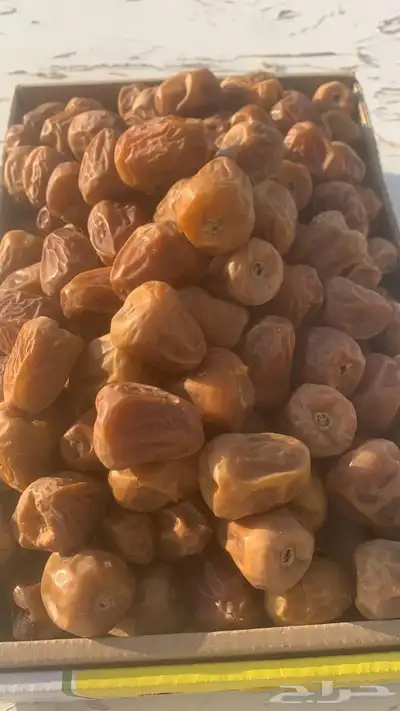 تمور القصيم سكري 2
