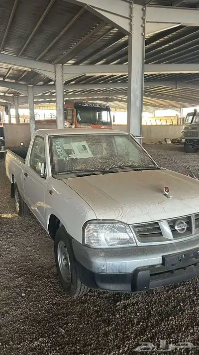 ددسن اصفار 0