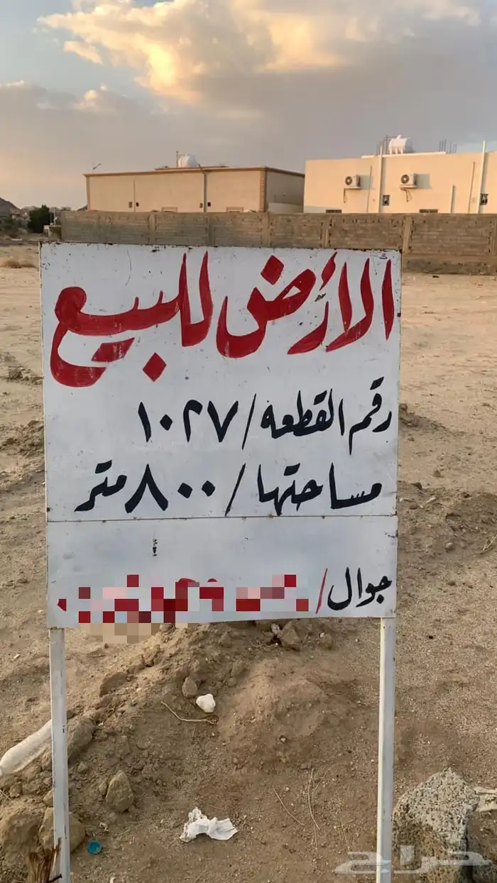 الموقع بيشة 1