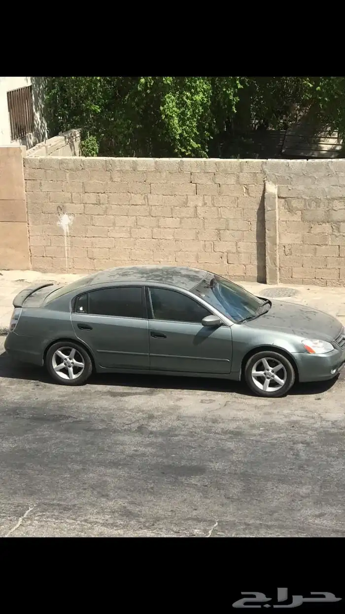 التيما 2005 4