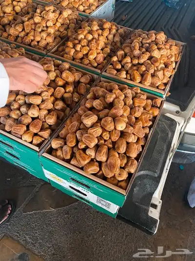 السلام عليكم للبيع جميع انواع التمور واجود انواعها 1