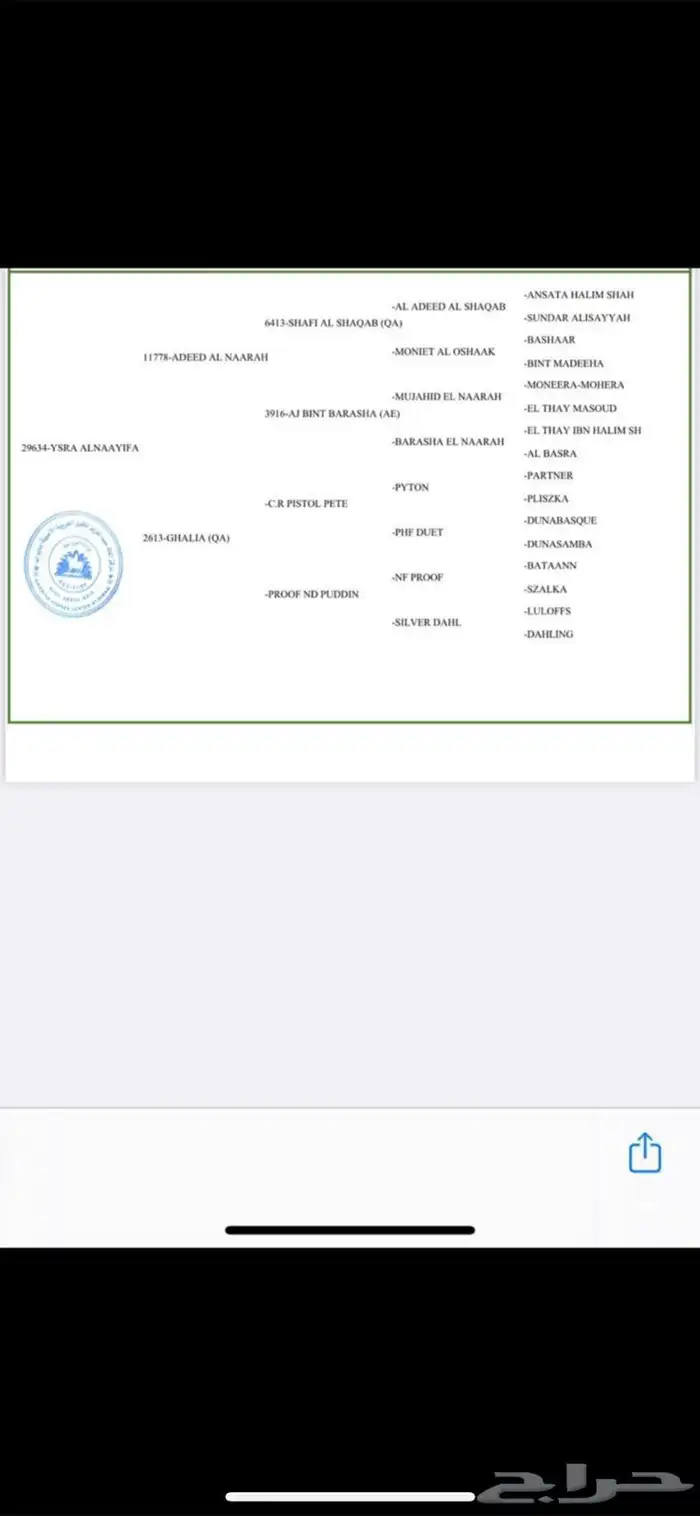 فرس واهو 1