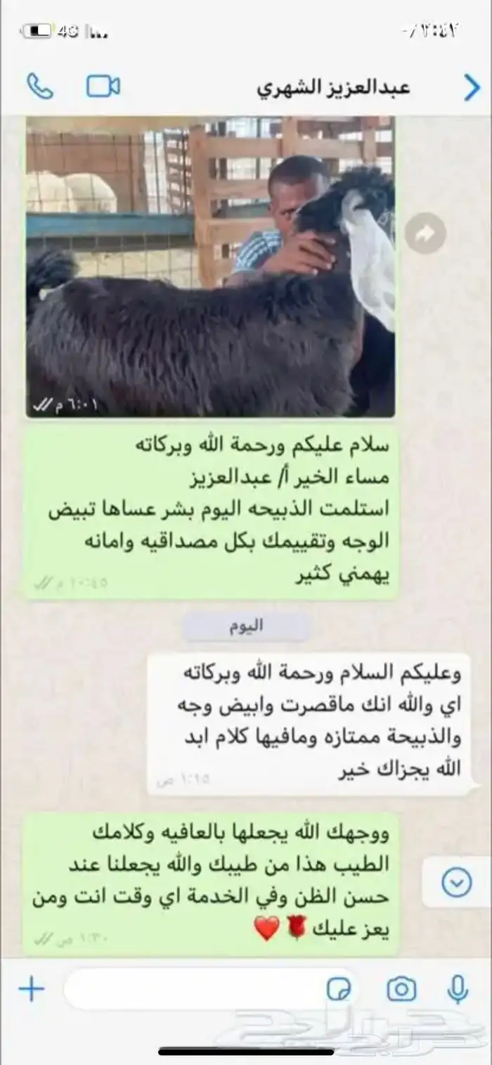 ذبايح حري وسواكني مع الذبح او الطبخ والتوصيل 36