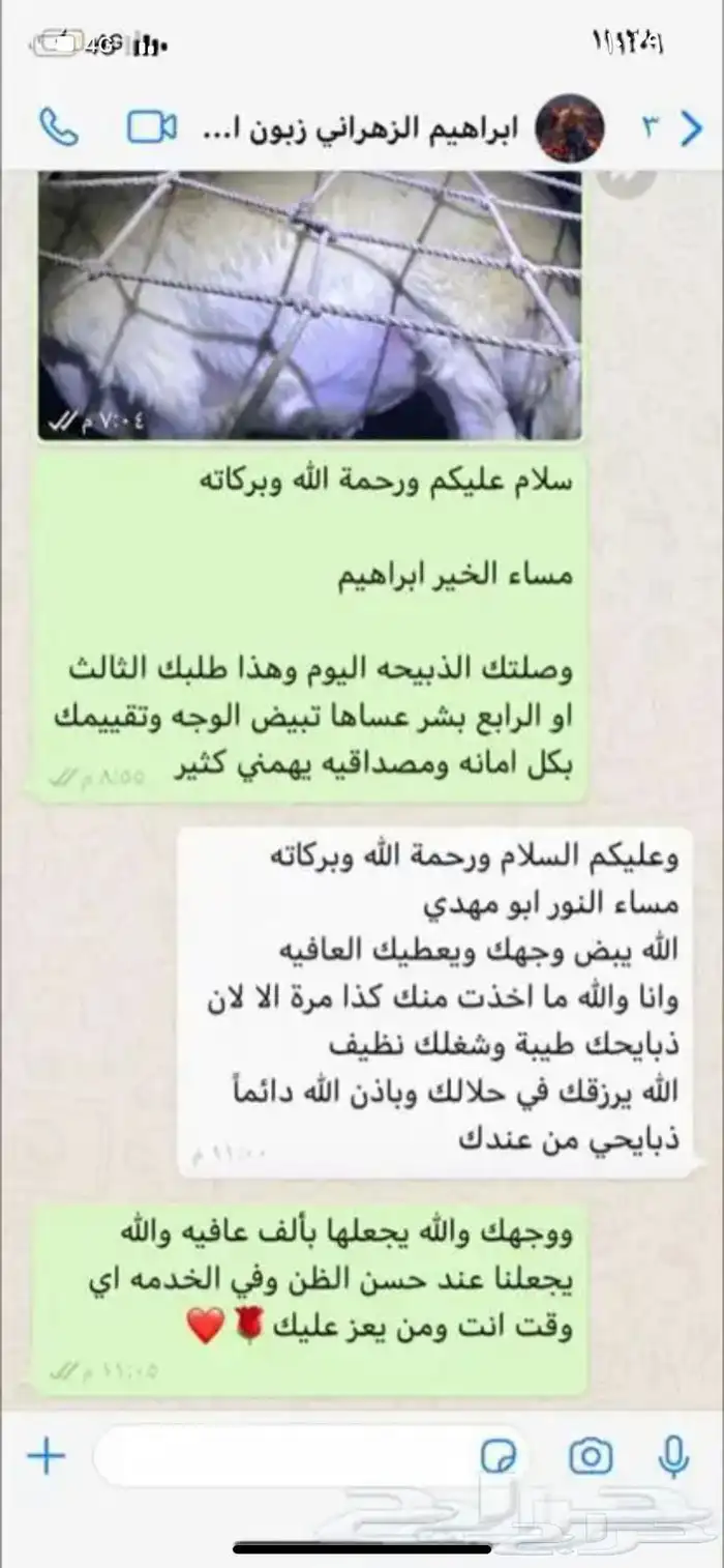 ذبايح حري وسواكني مع الذبح او الطبخ والتوصيل 86