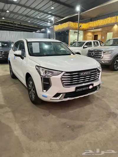 هافال جوليان استاندر 2024 8