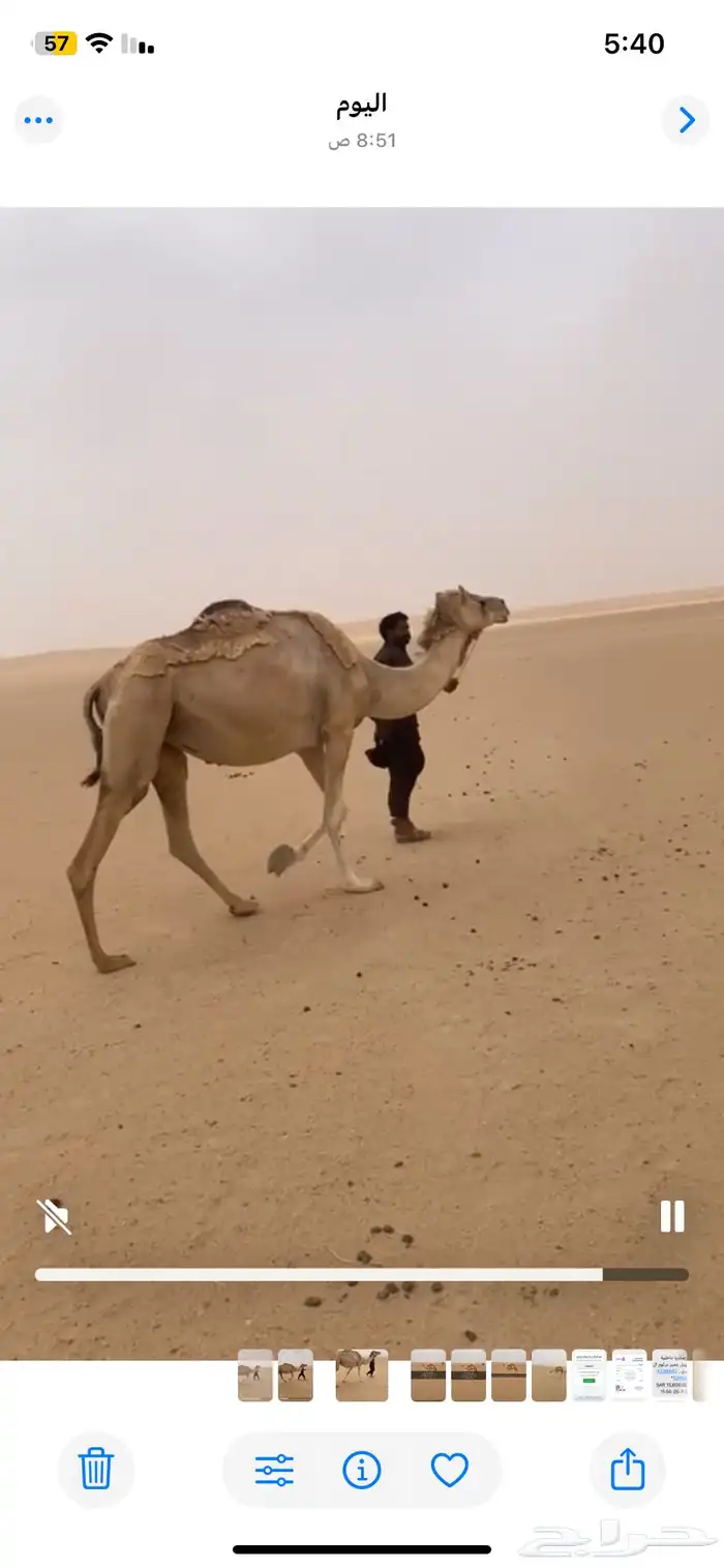 ابل 0