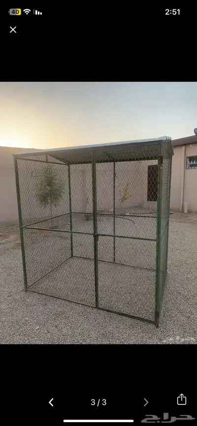 شبك عصافير 0