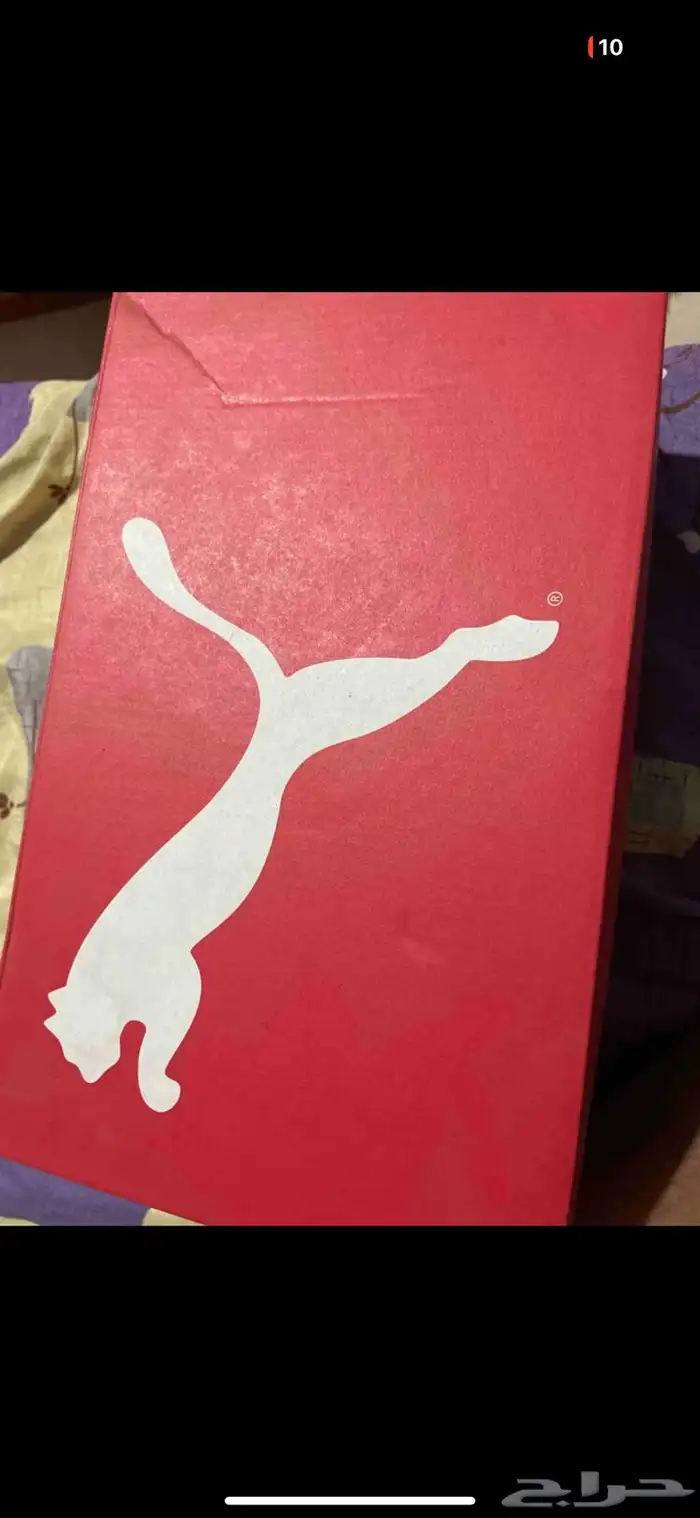 حذاء اديداس   اسكتشر   بوما 17