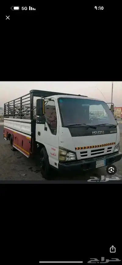 عرعر دينه 0