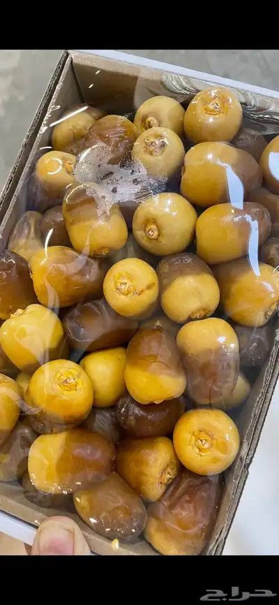 تمر منصف 15 ريال 4