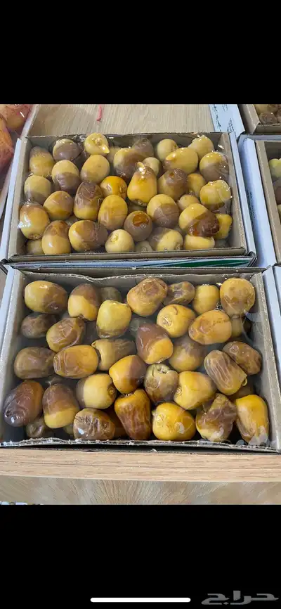 تمر منصف 15 ريال 1