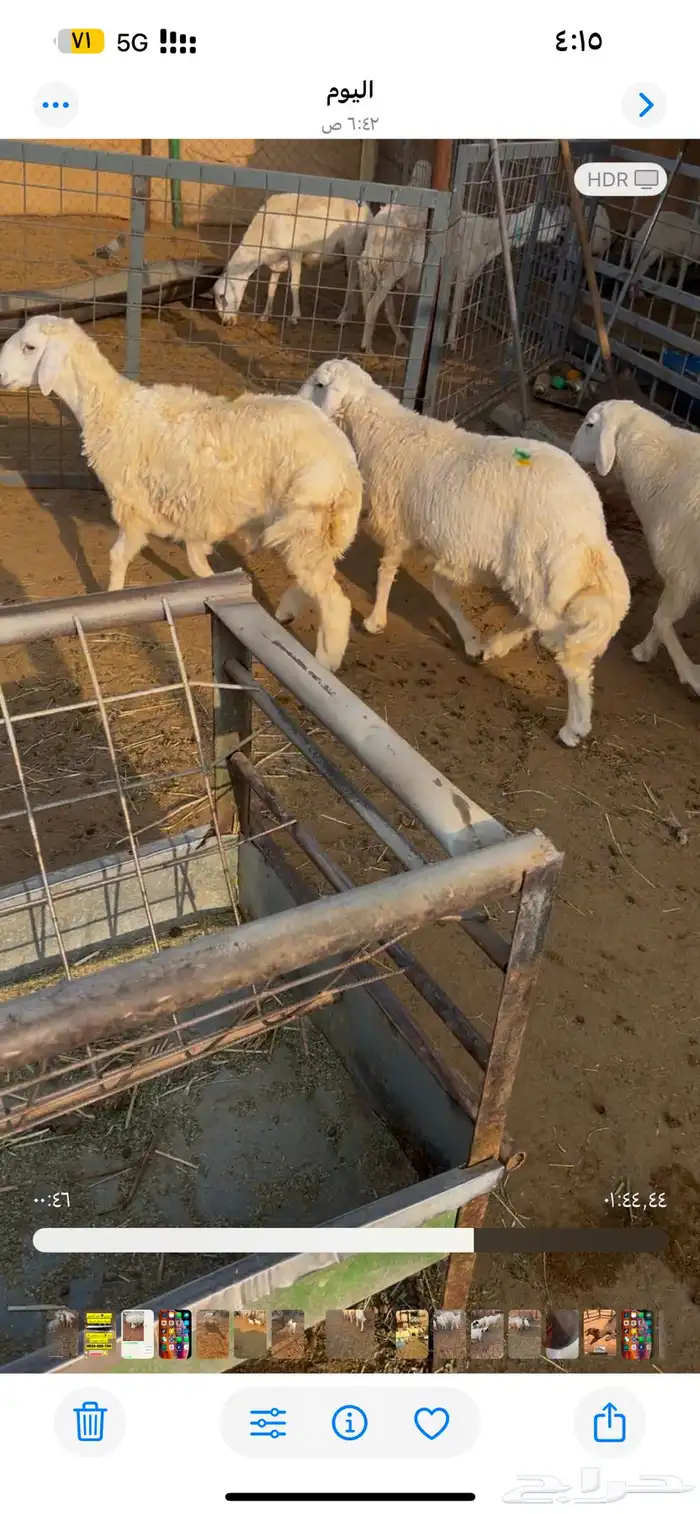 الخرج 2