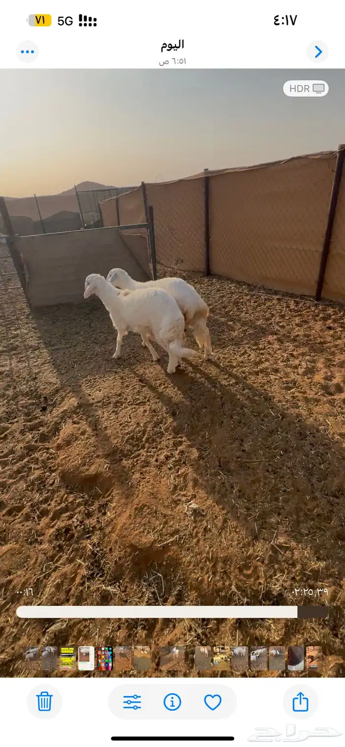 الخرج 0
