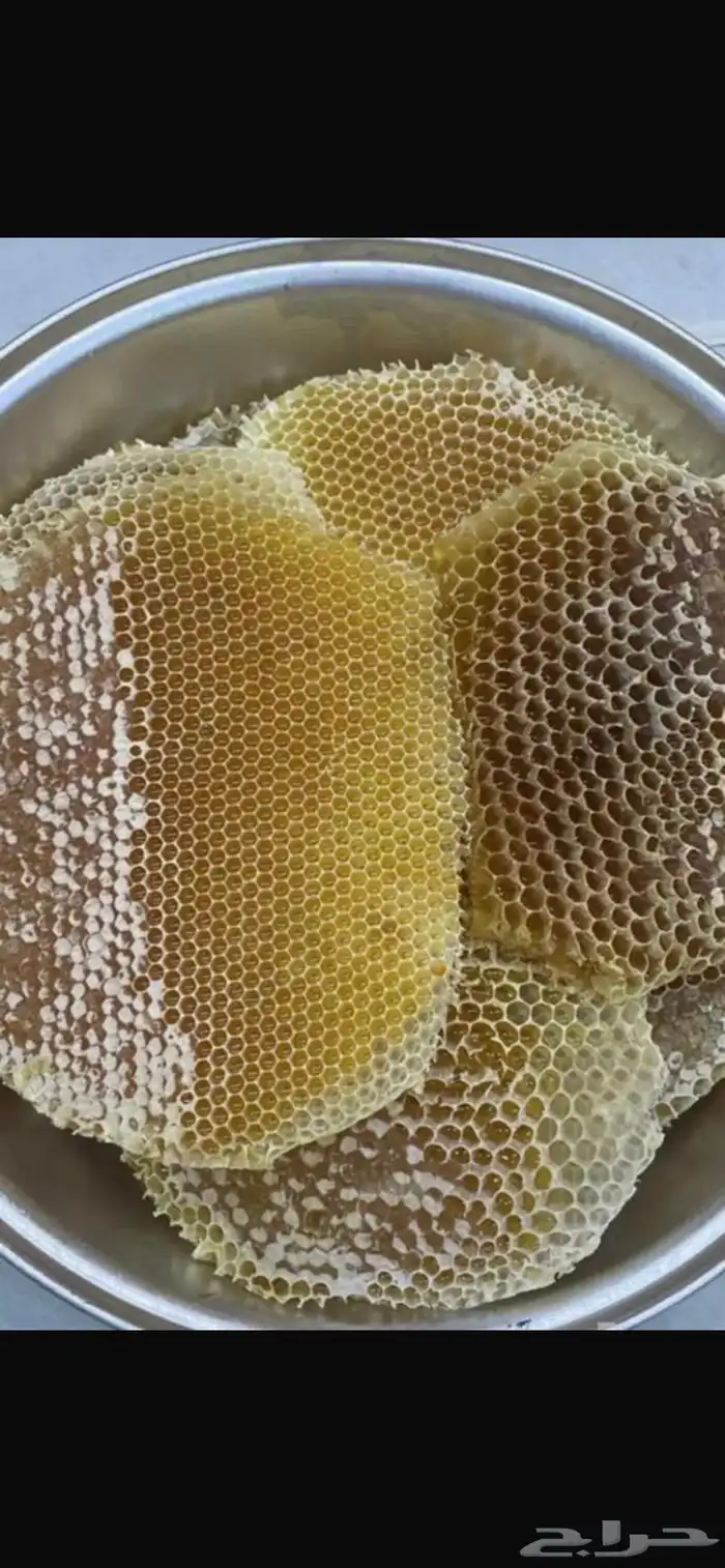 عسل سدر صافي(عرض مميز) 0
