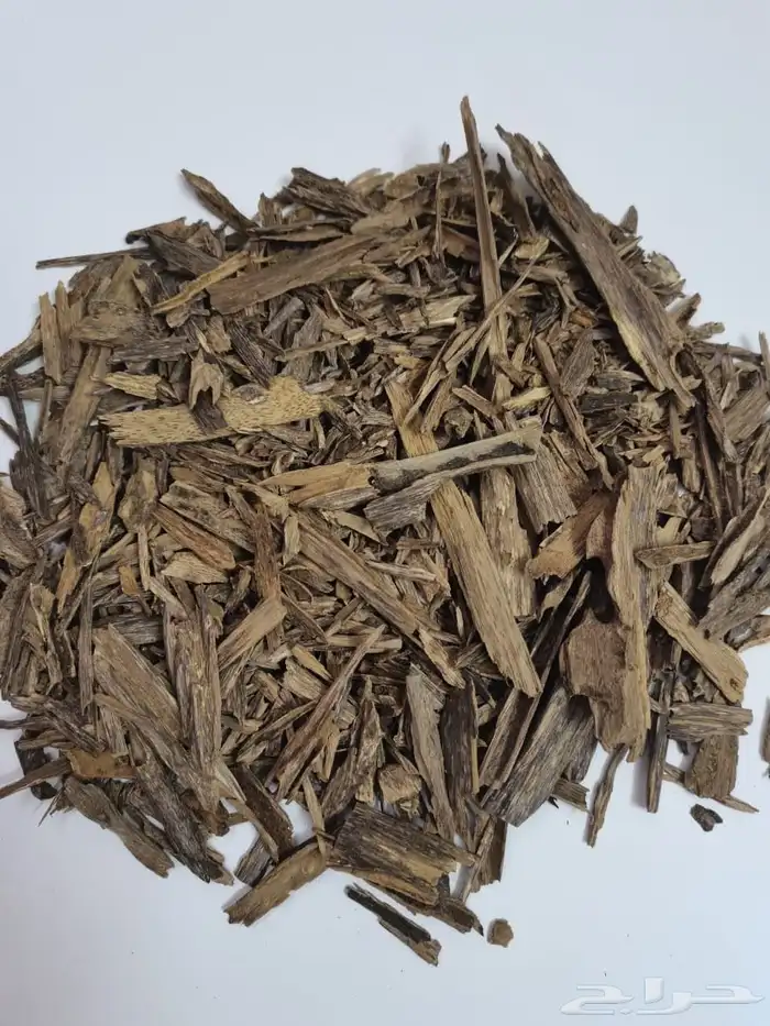 عود سيسور هندي ملكي 1