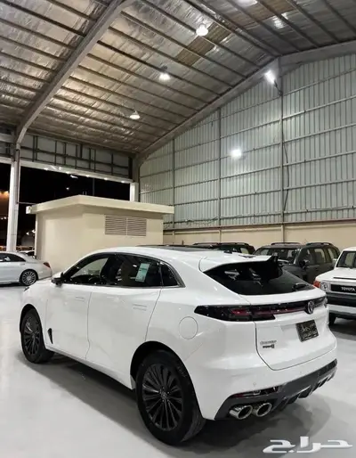 شانجان يوني كي 2023 3