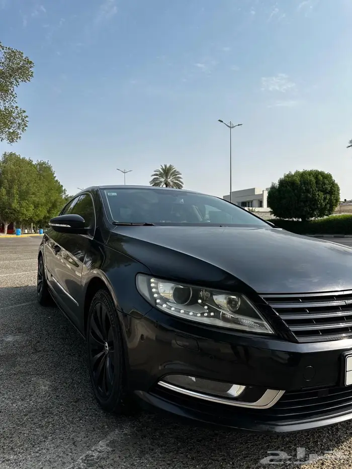 باسات 2013 1
