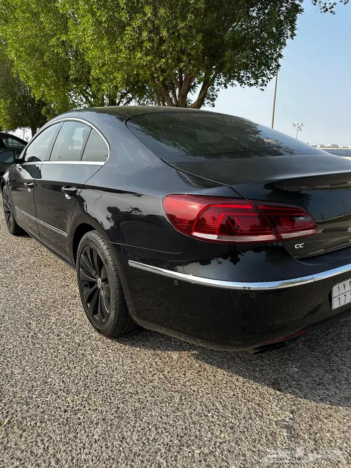 باسات 2013 4