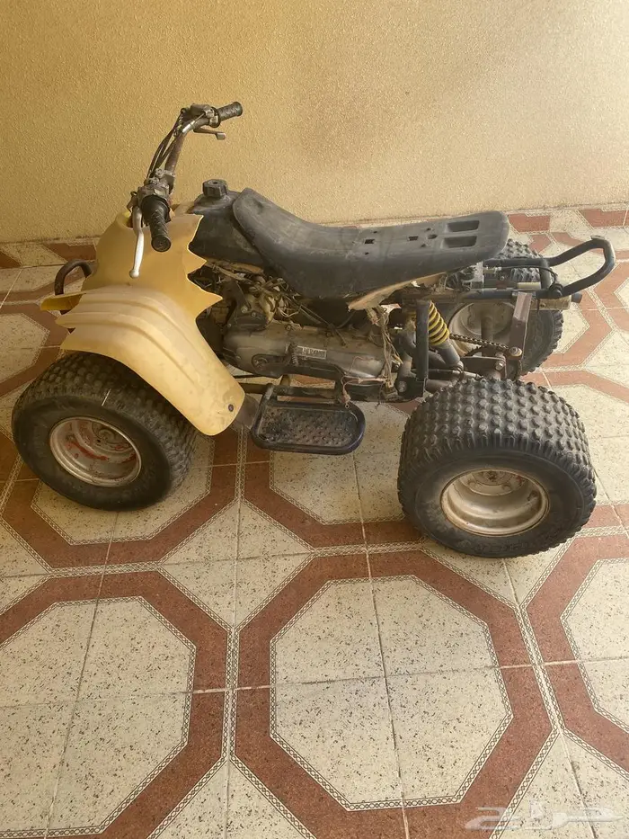 دباب 3