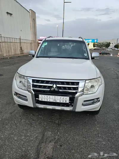 بجيرو 2013 7