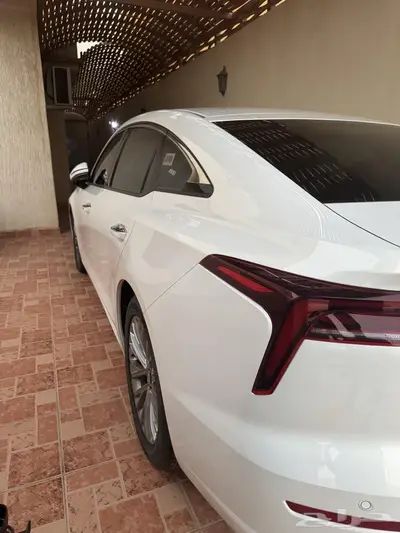 بيستون فاو B70 للتنازل بدون مقابل 5