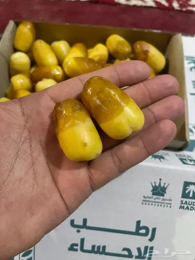 رطب اخلاص فاخر 0