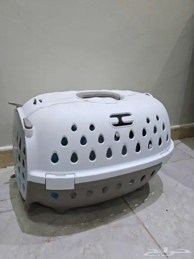 قط هملايا للتبني 2