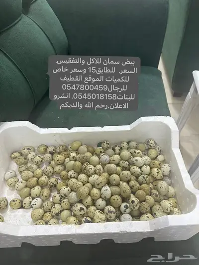 بيض سمان 0