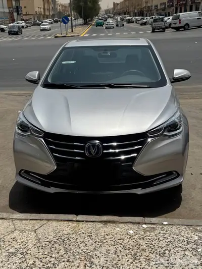شانجان السفن 2024 1