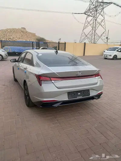 النترا فل 2023 4