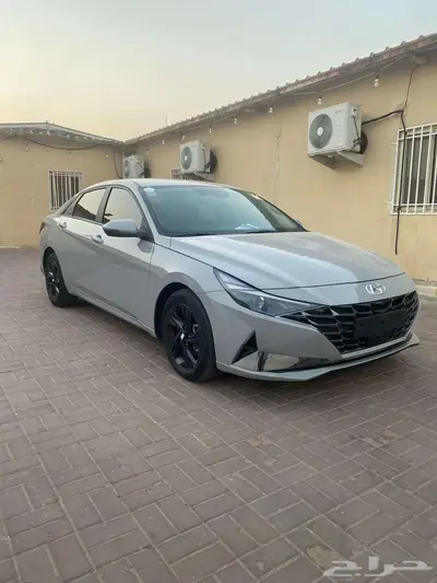 النترا فل 2023 1
