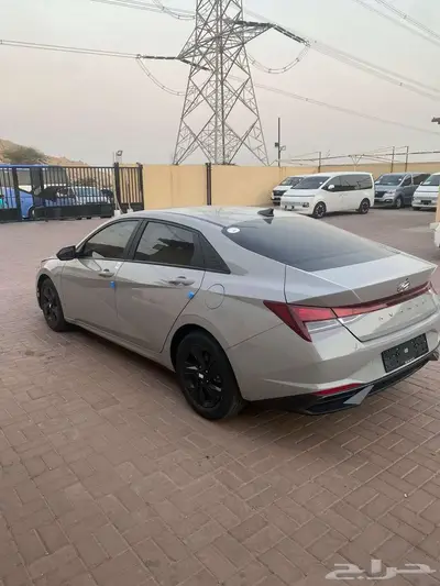 النترا فل 2023 3