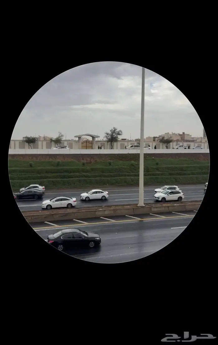 كداد من الرس القصيم الي المدينة المنورة الاحد 0