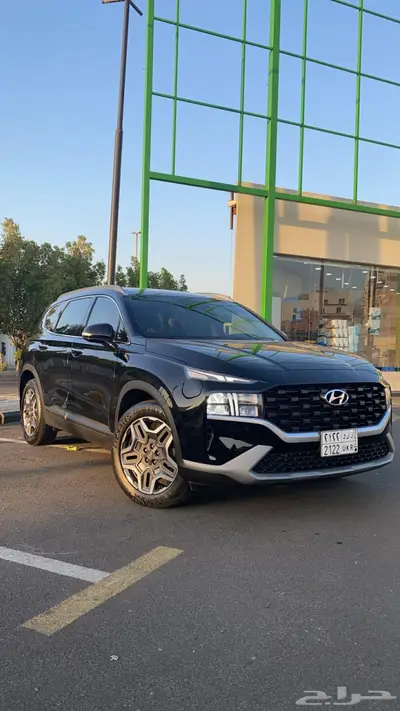 سنتافي 2024 1