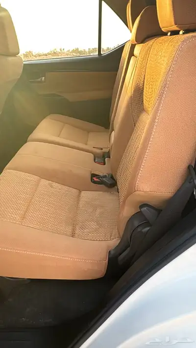 فورشنر 2019 5