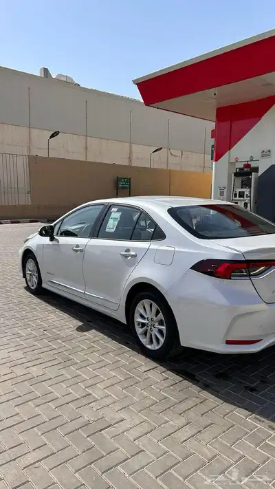 الجوف طبرجل 4