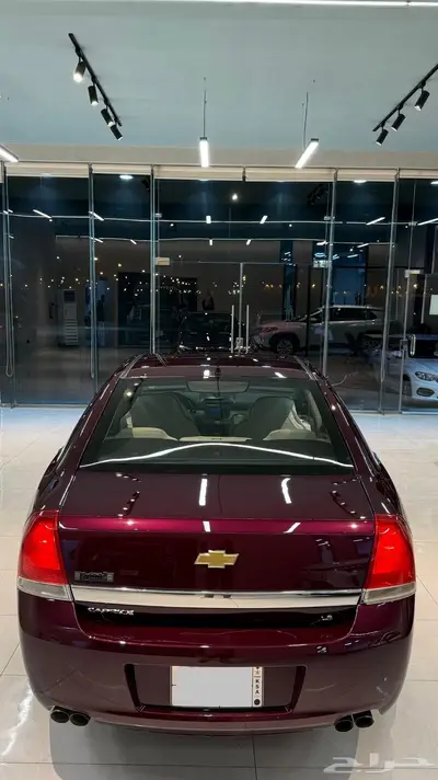 كابرس 2012 4
