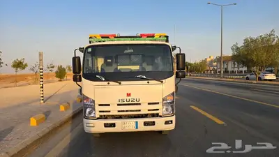 دينا ايسوزو 2012 1