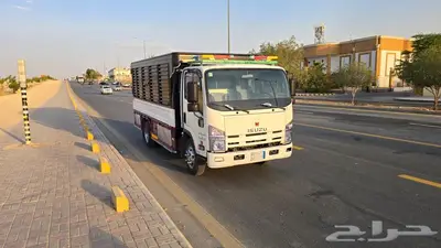 دينا ايسوزو 2012 7